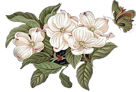 4__arnusha