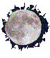 1_3_6