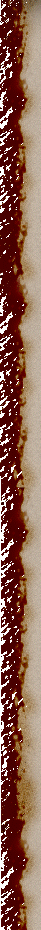 1_3_6