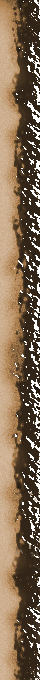 1_3_arnusha