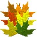 1_3_1_arnusha