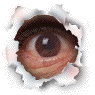992002602