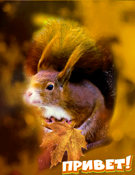 ezgif-4-129ac57a8f41