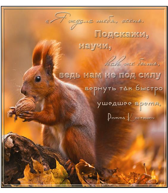 4 - копия