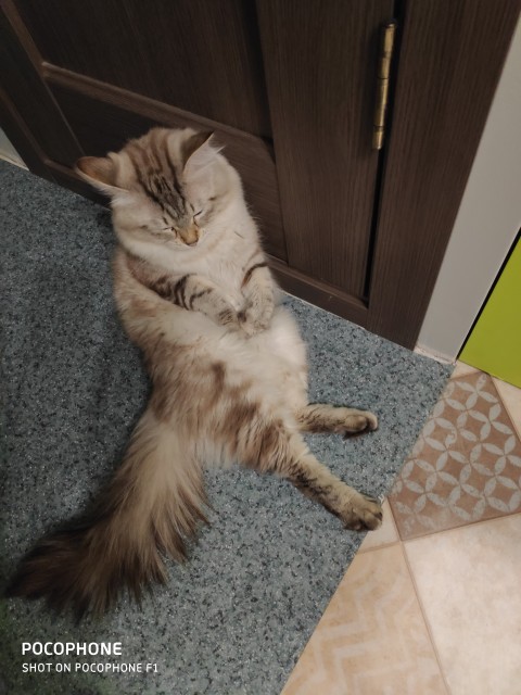 IMG_20190222_233411 - копия