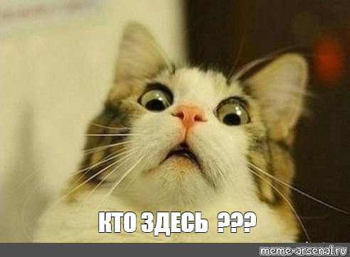 700d2d6de52032459dc55c92edf340a5