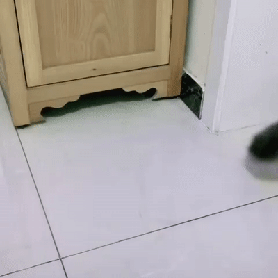 D8E8375F-857D-4479-9EE3-B0B7651E3C48