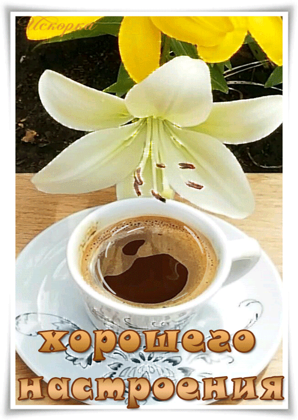 -настроения хорошего