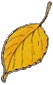 1_5