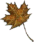1_4