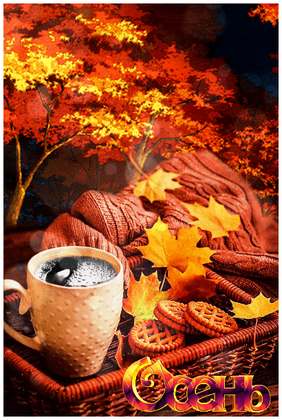 ezgif-2-eb0e743b200a (1)