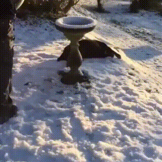 2_1513696570