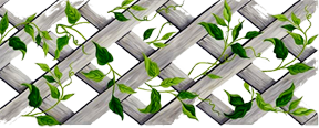 1_4_2