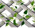 1_4_3