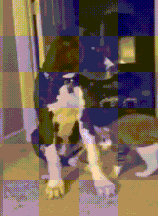 1 (3)