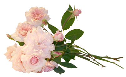 3__arnusha