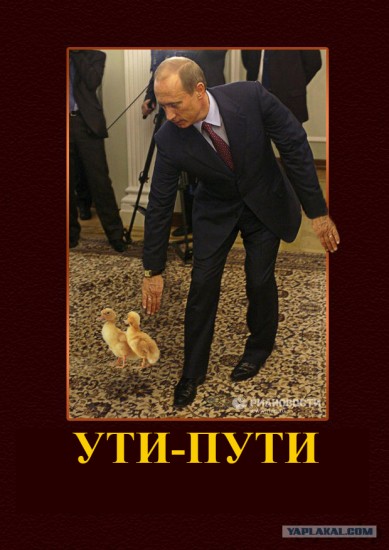 post-27-13022581615353 copy