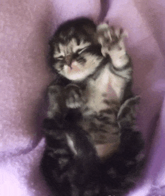 -личинка-котэ-котэ-потягушеньки-5523806