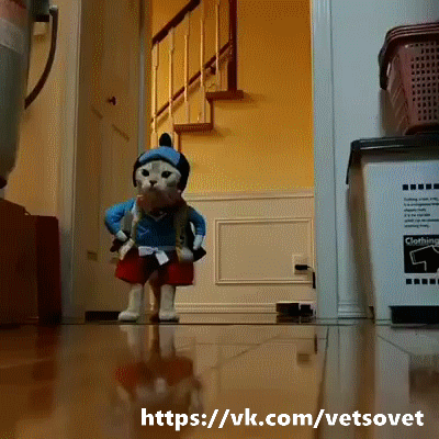 1 (2)