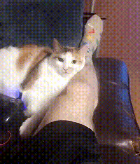 kote (2)