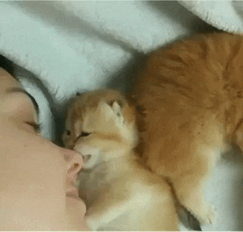 ezgif-4-078701821760