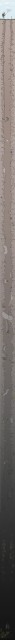 10584050_original