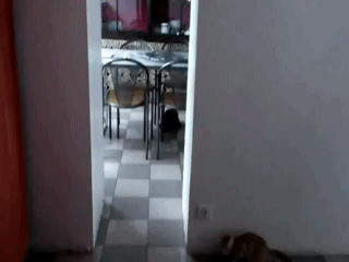 1 (1)