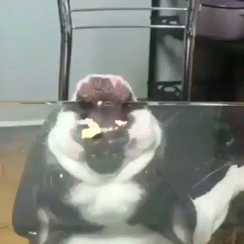 1 (5)