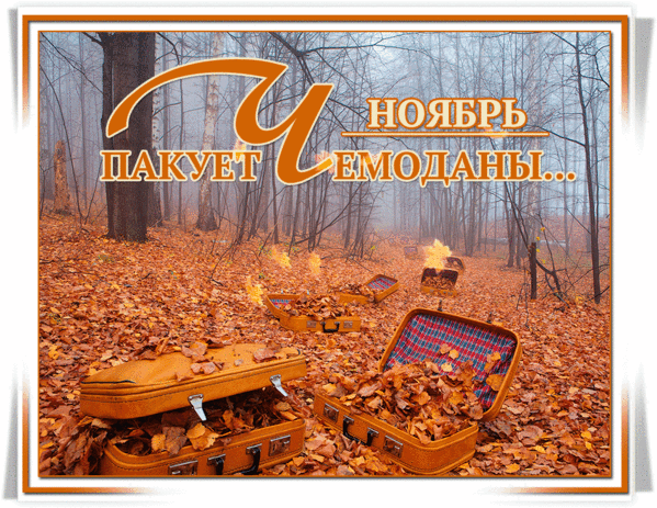 Ноябрь пакует чемоданы