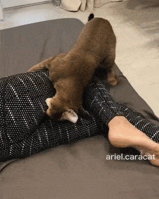 failsgif