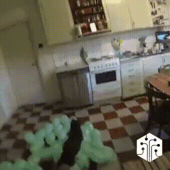 10_-elektrostatika-besserdechnaya-zh-ty