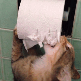 vk_com_animalfunny_0157