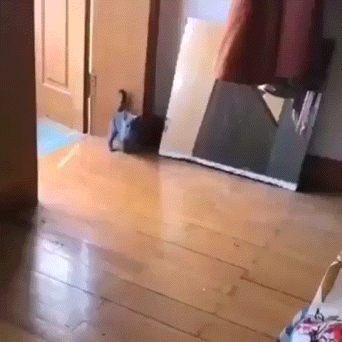 1 (2)