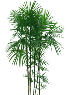 0_13ba86_8db1fd87_orig