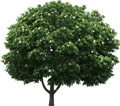 0_a42ac_933f6033_orig