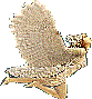 52_1
