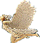 52_2