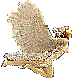 1_2_6_1