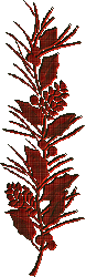 1_2_9