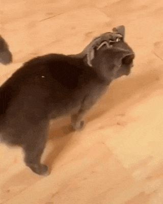 topgif