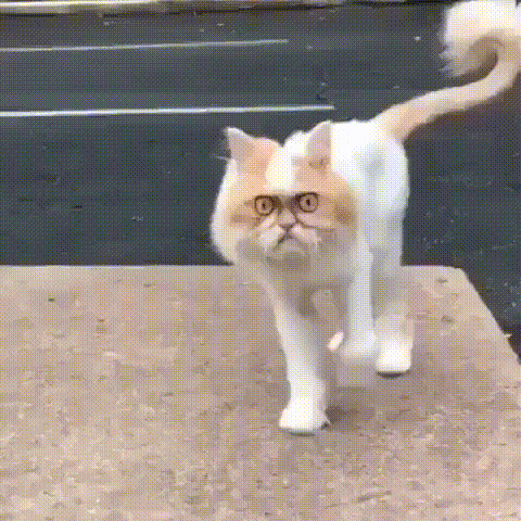 82858435369187_3
