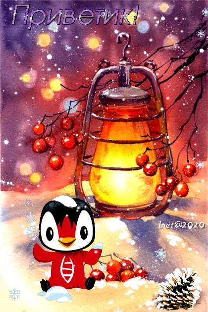 ezgif-2-8308db1ec050 (1)