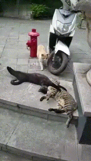 nikhua_sebe
