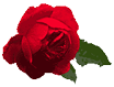 3_1_arnusha