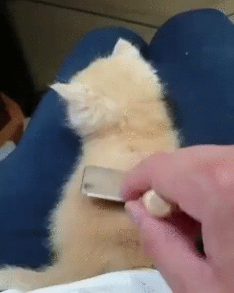 vk_com-doc7104400_504682426