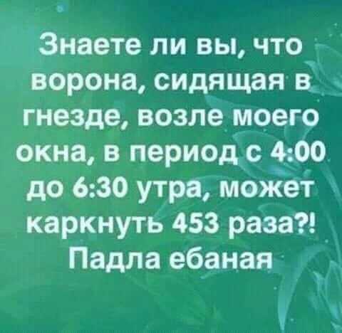 11640124