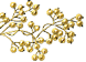 1_1_3