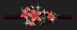 3__arnusha