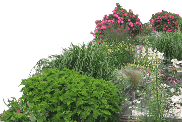 Garden-PNG-High-Quality-Image-min