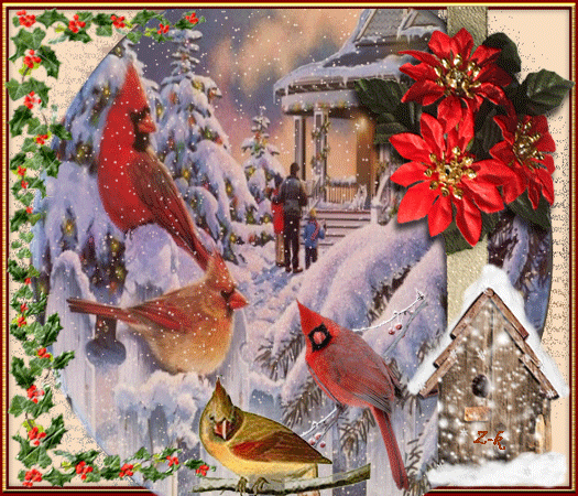 03-zk-ptaki kardynaly-swiateczna